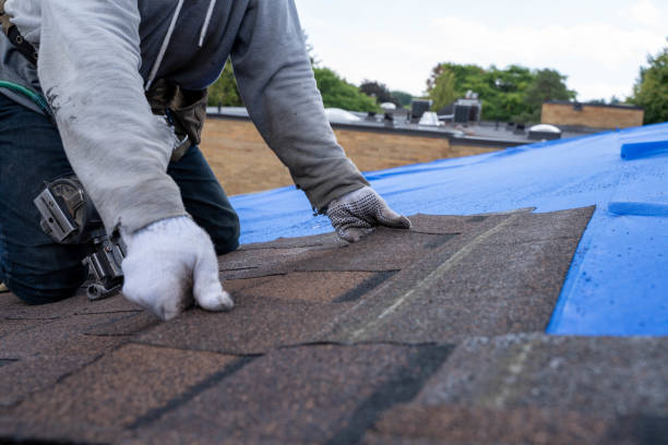 Best Emergency Roof Repair  in Perryville, MO